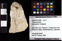 Foto (Objket + Etiketten) von „Tithanotromota“ 